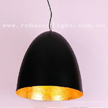 Single Resin Gold Insider Black Ceiling Light